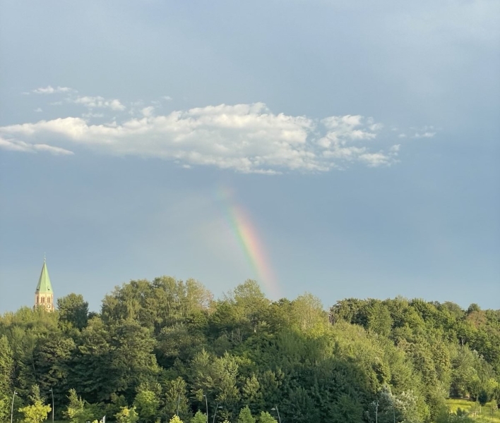 RegenbogenuberHorde_CloseUp_MKamutzki_MichaelKamutzki